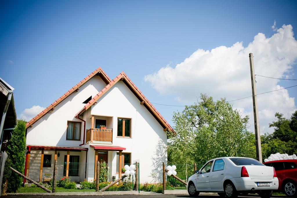 Conacul de sub munte Villa Novaci-Străini Exterior foto