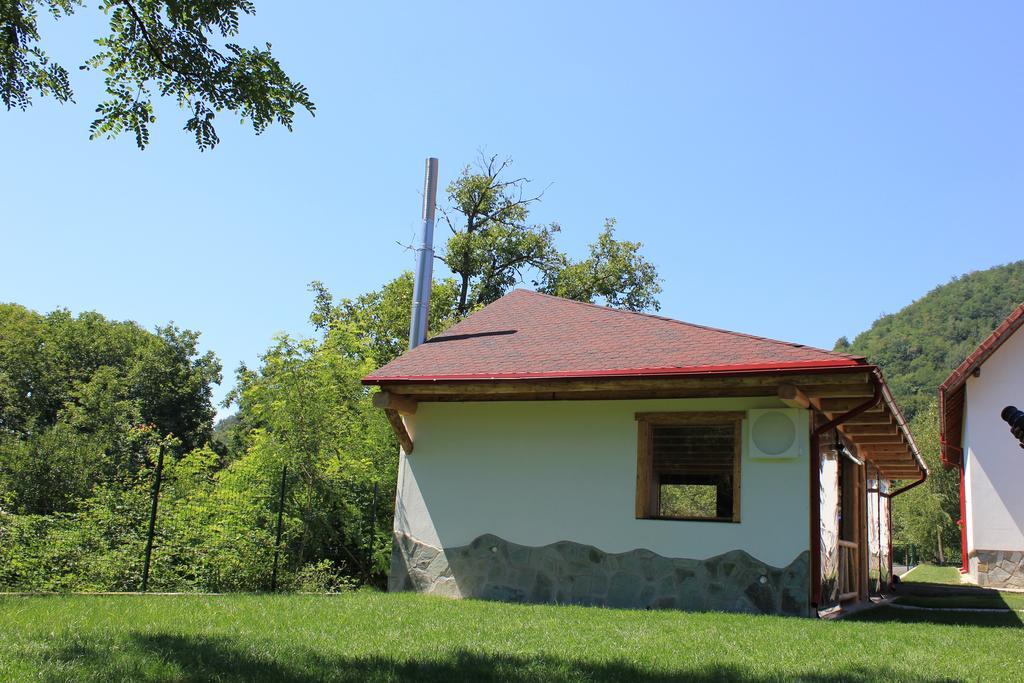Conacul de sub munte Villa Novaci-Străini Exterior foto