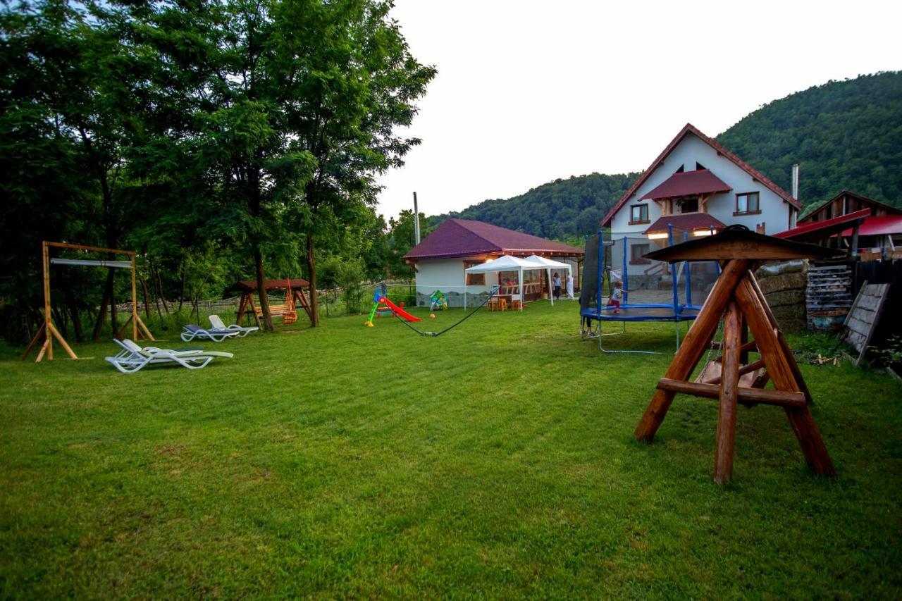 Conacul de sub munte Villa Novaci-Străini Exterior foto