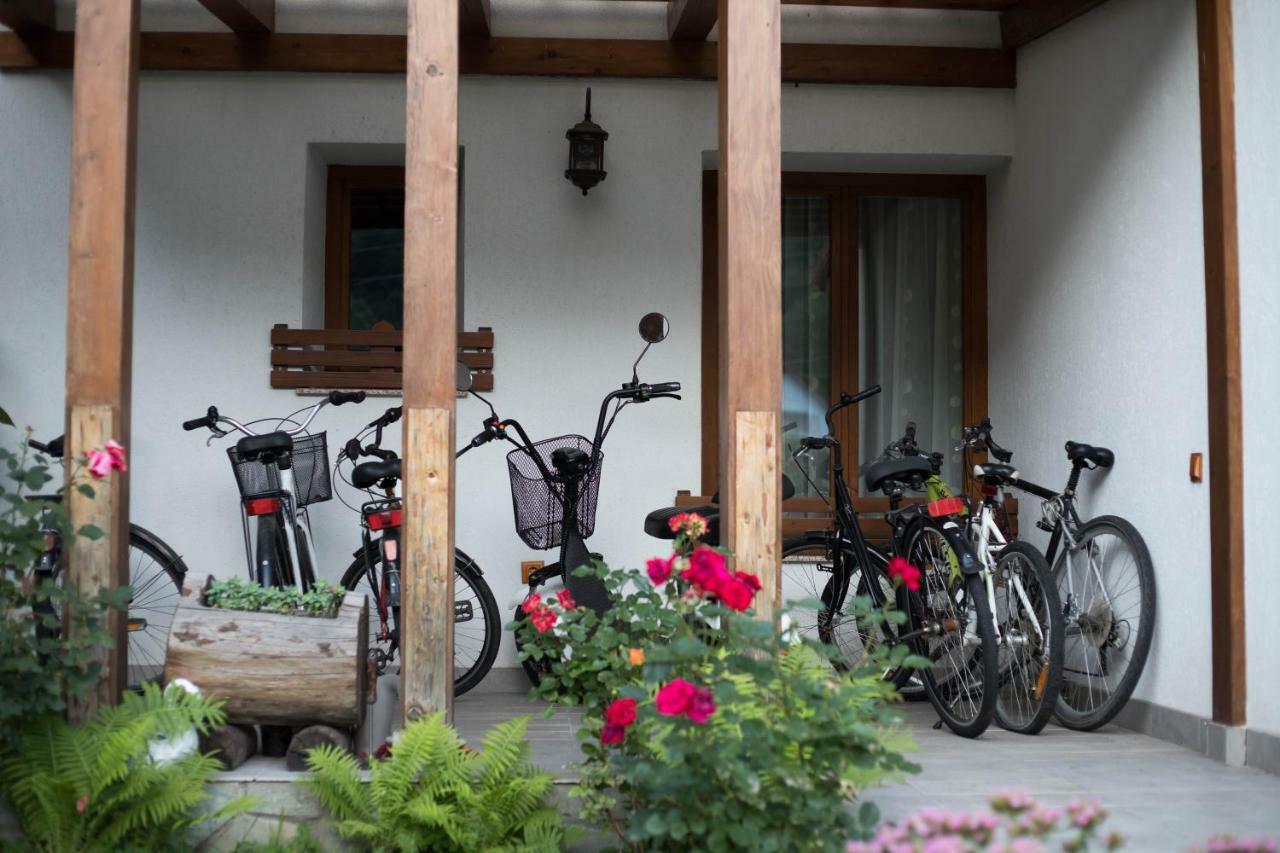 Conacul de sub munte Villa Novaci-Străini Exterior foto