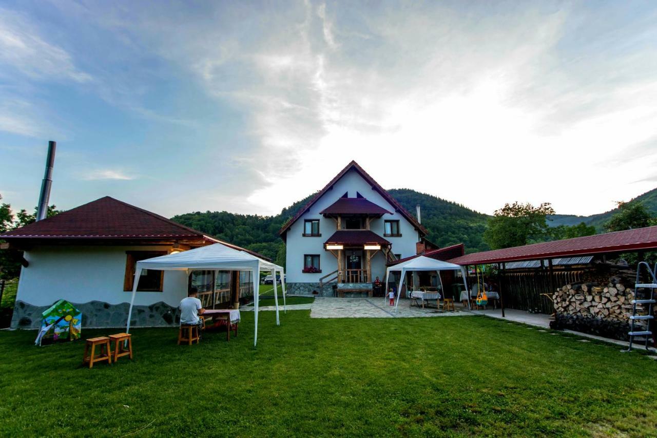 Conacul de sub munte Villa Novaci-Străini Exterior foto